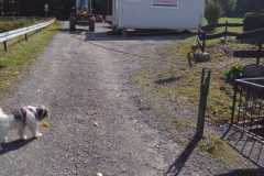 WhatsApp Image 2022-09-12 at 14.27.06 (1)